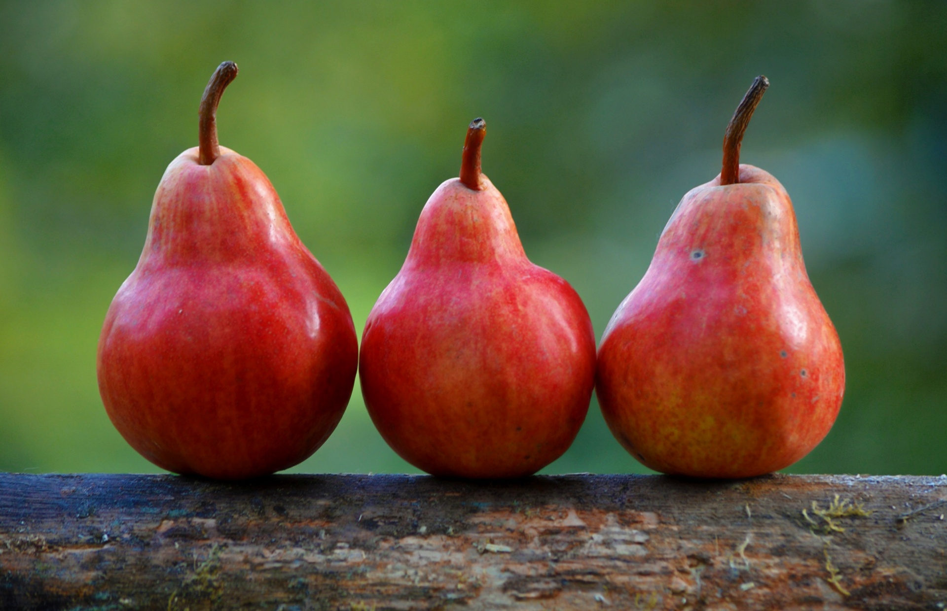 three-pears.jpg
