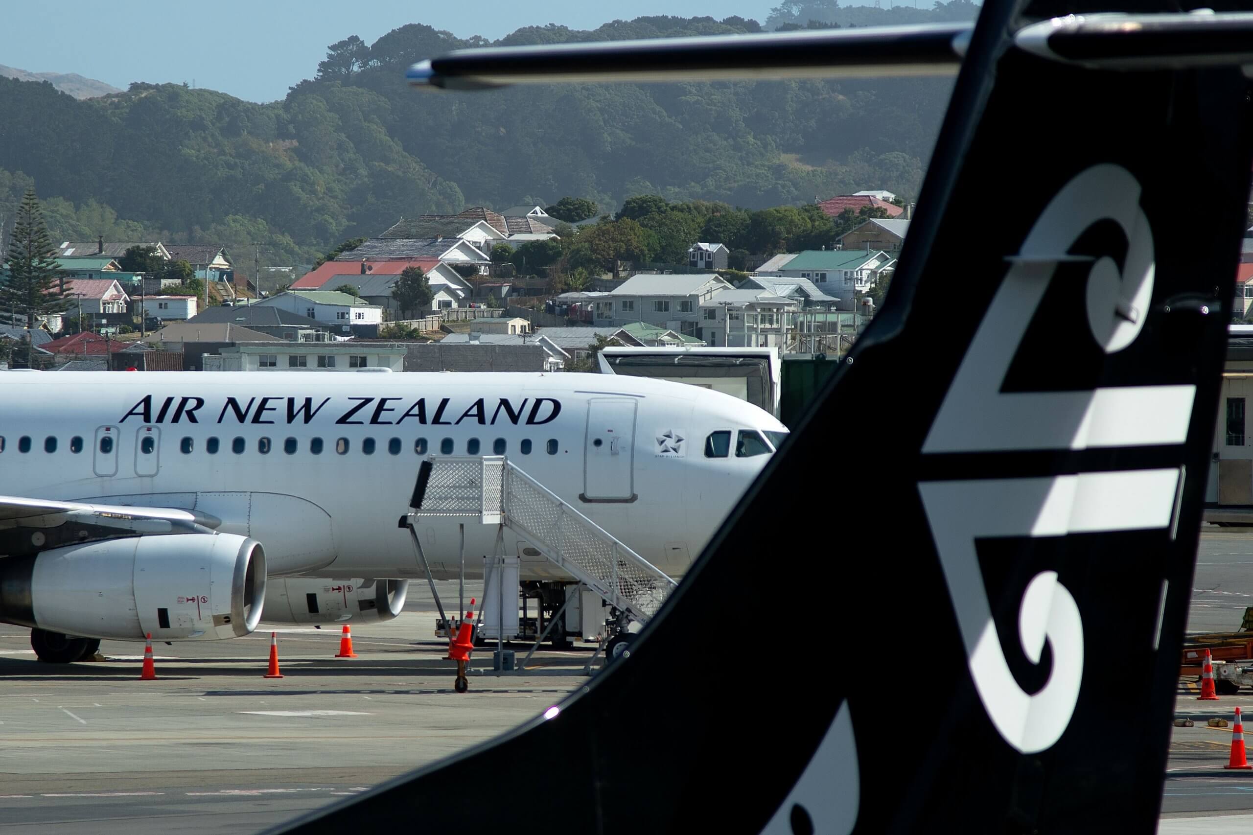 New Zealand government urged to 'trial' return of international students
