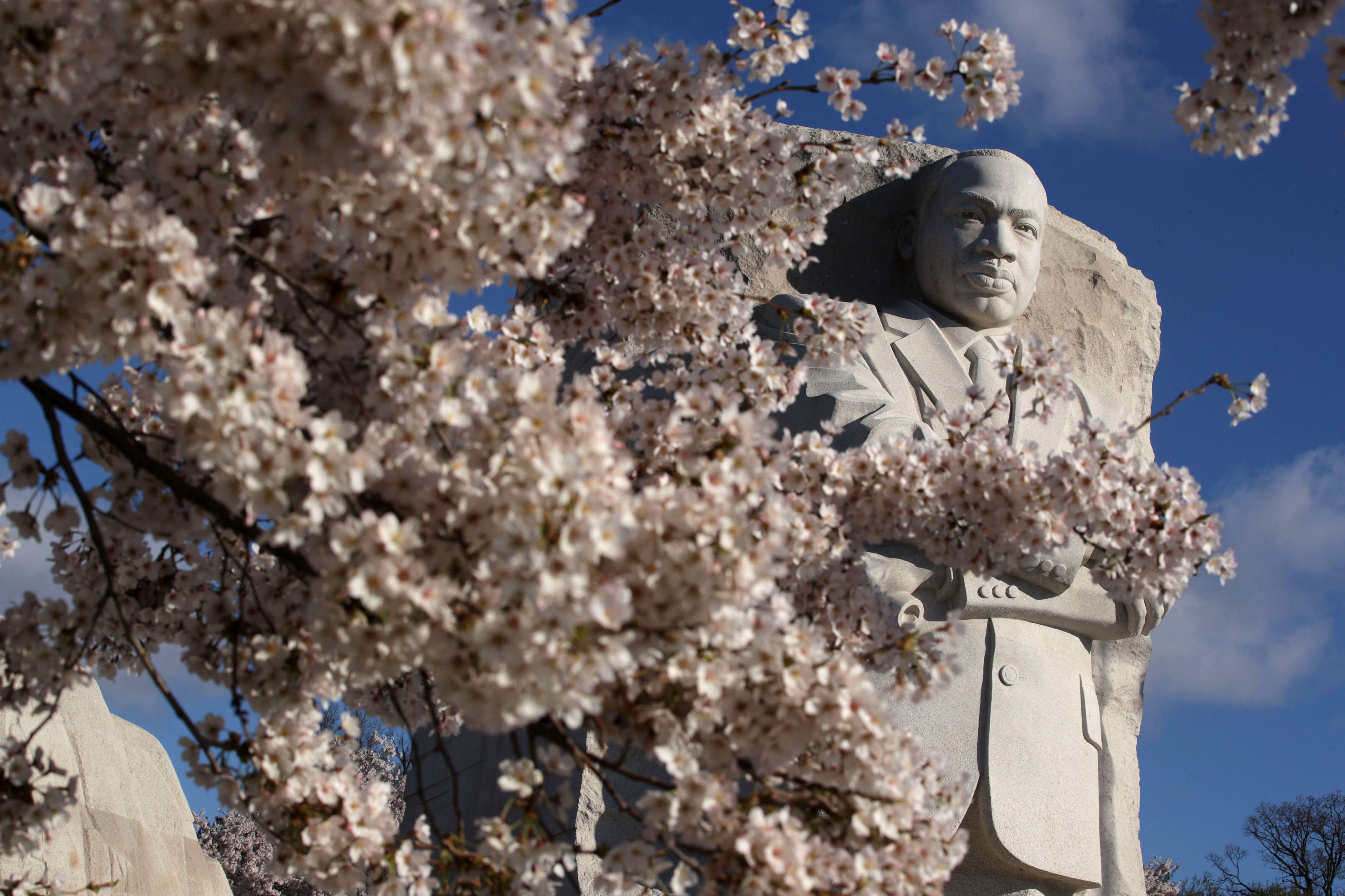 Martin Luther King Day explained for international students