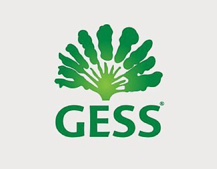 GESS – International School