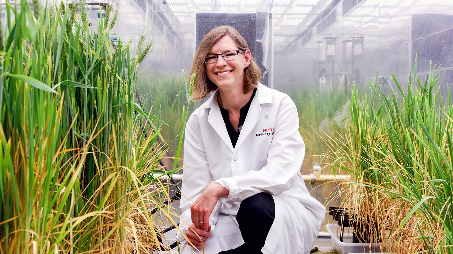 NC State University: Improving the world through plant science innovation