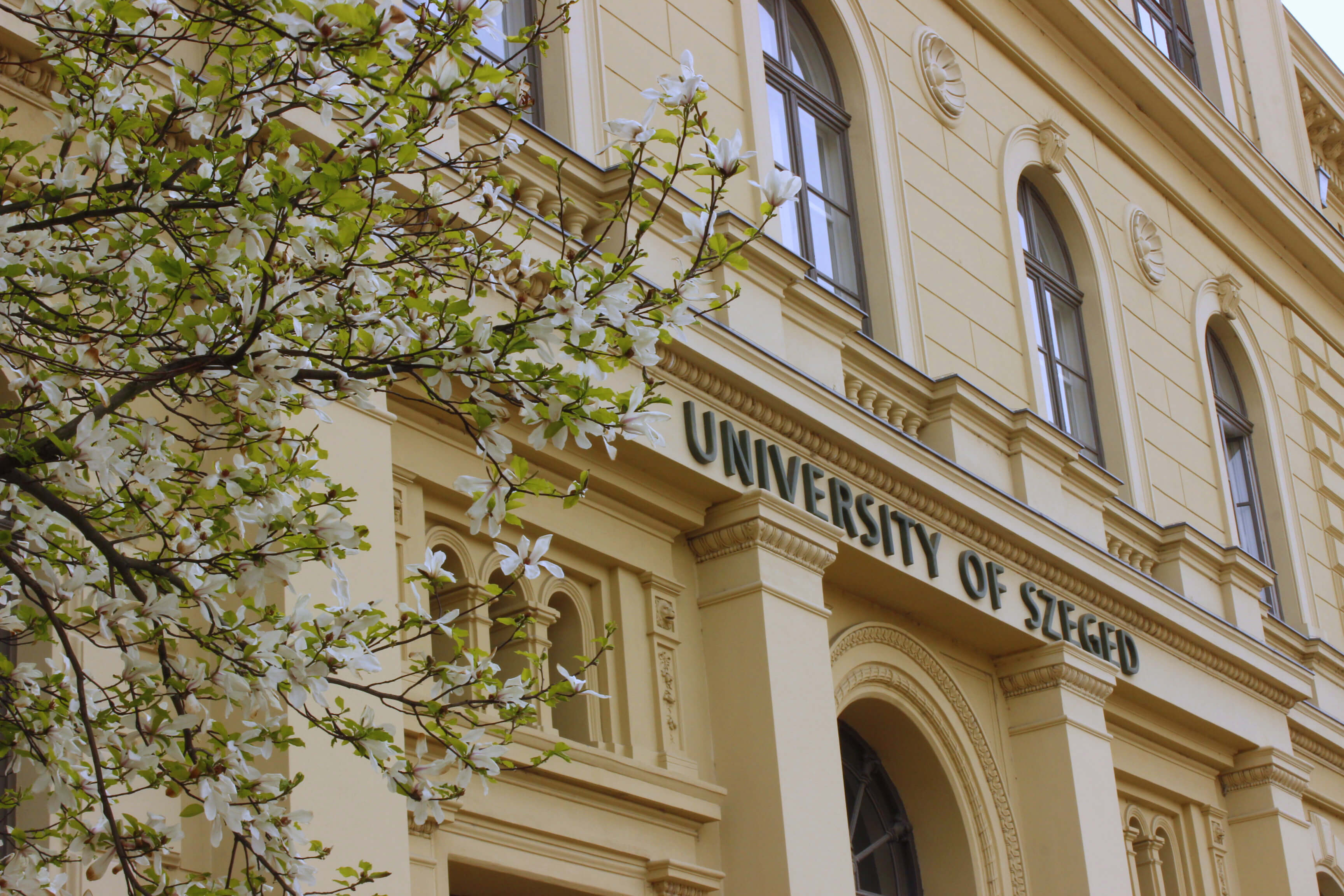 University of Szeged in Hungary offers a world-class degree in medicine 