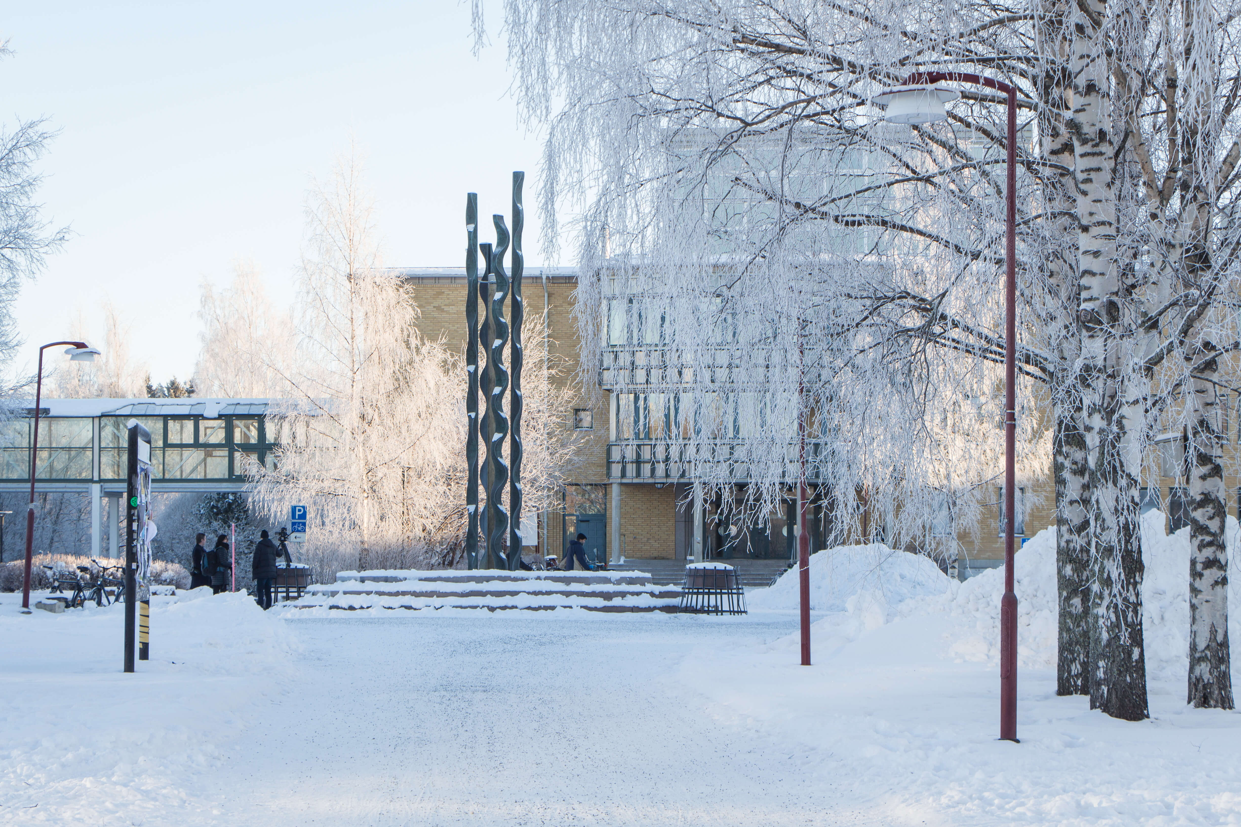 Umeå University