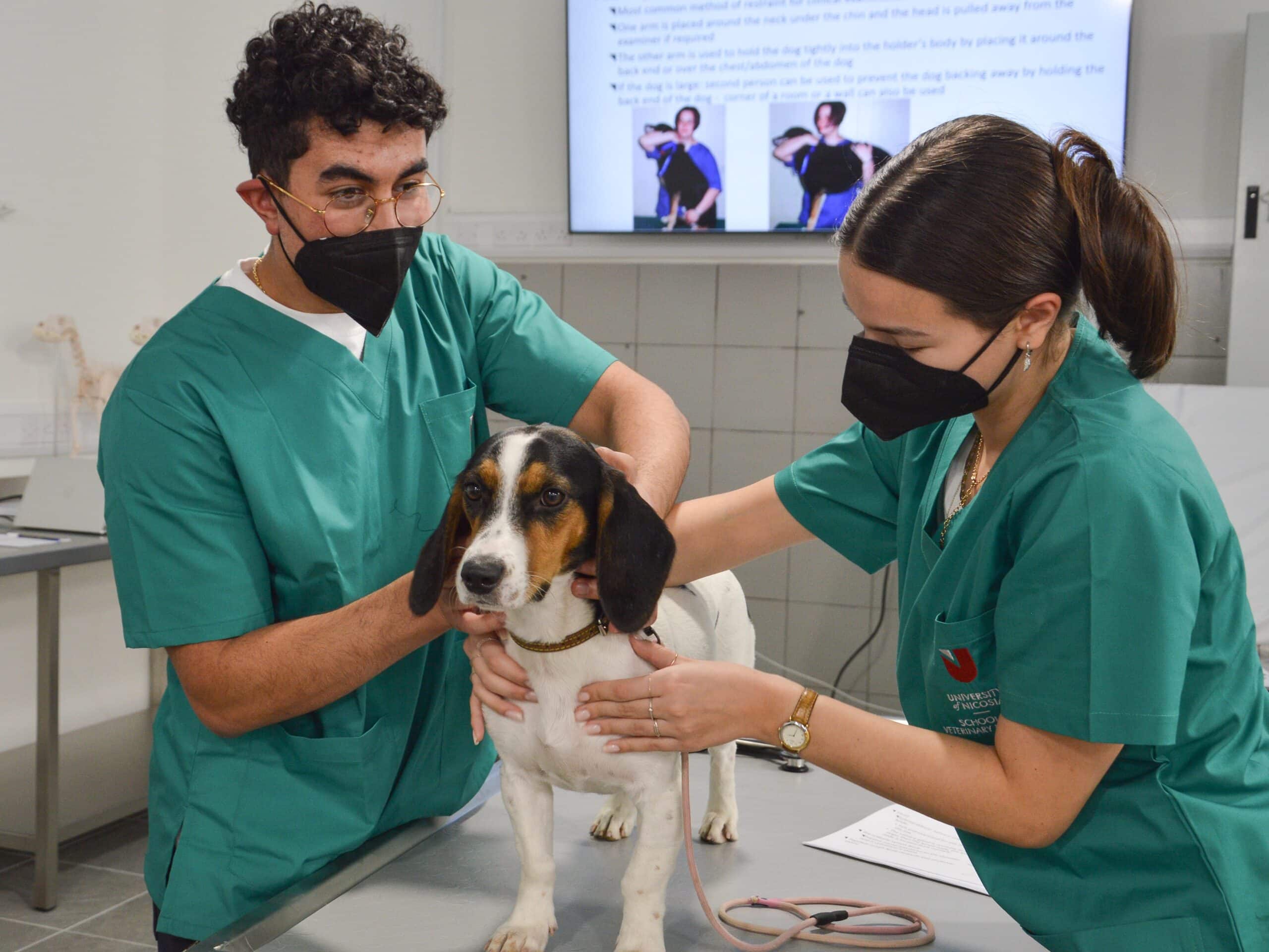 University of Nicosia: Educating Doctors in Veterinary Medicine through a multidisciplinary course